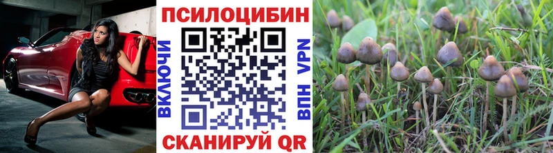 Галлюциногенные грибы мухоморы  Купить  Облучье 